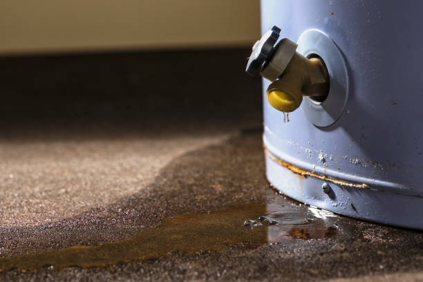Best Commercial water damage restoration  in Seadrift, TX
