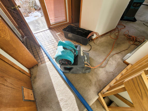 Best Local water damage restoration  in Seadrift, TX