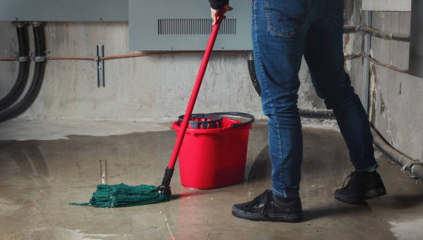 Best 24-hour water damage restoration  in Seadrift, TX