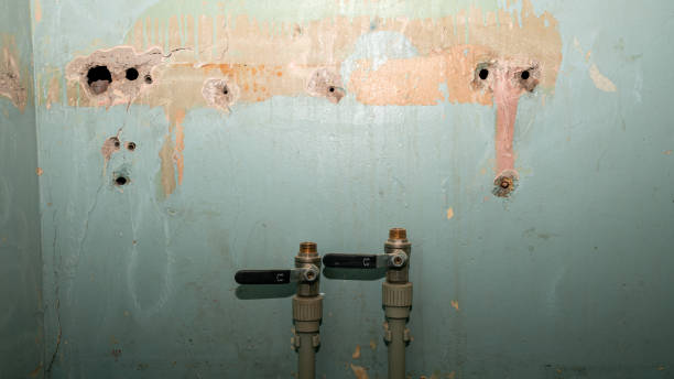 Best Residential water damage restoration  in Seadrift, TX