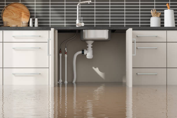  Seadrift, TX Water damage restoration Pros